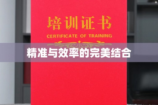 班玛精准与效率的完美结合